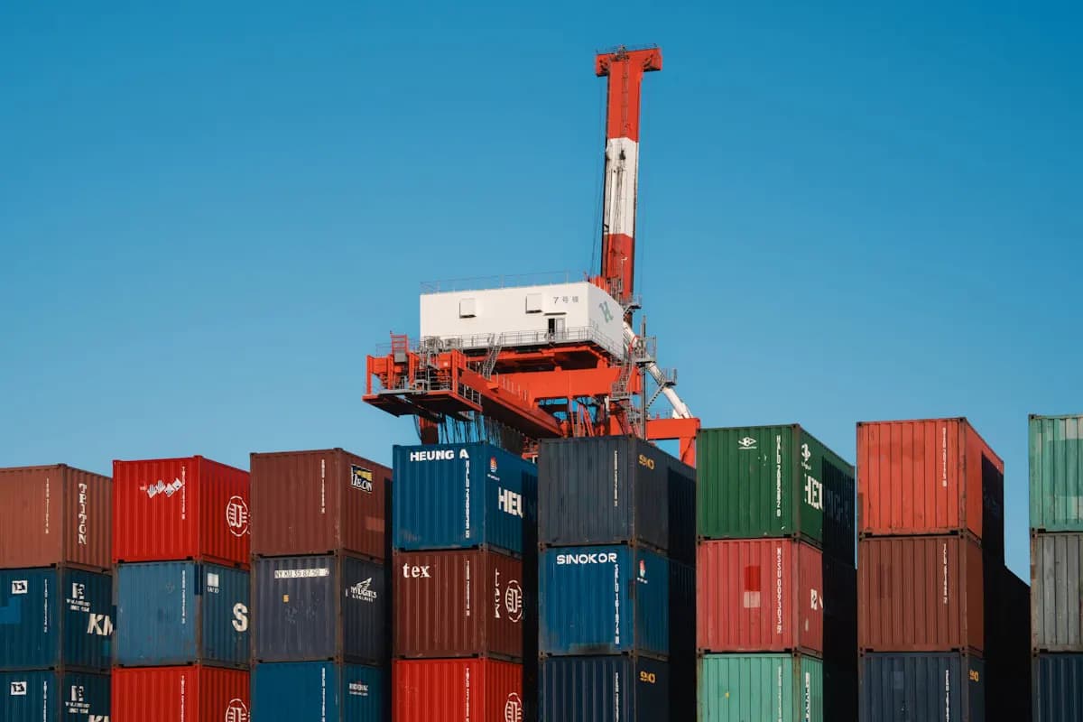 Container terminal gantry cranes at a port