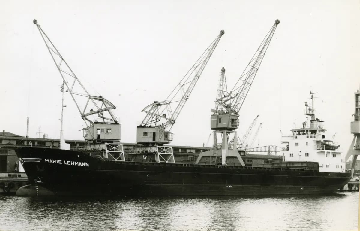 ALFA WATAN, general cargo (IMO 7510884)
