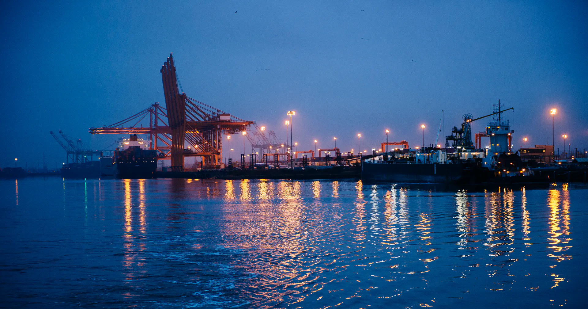 Gantry cranes standing over a quiet container quay