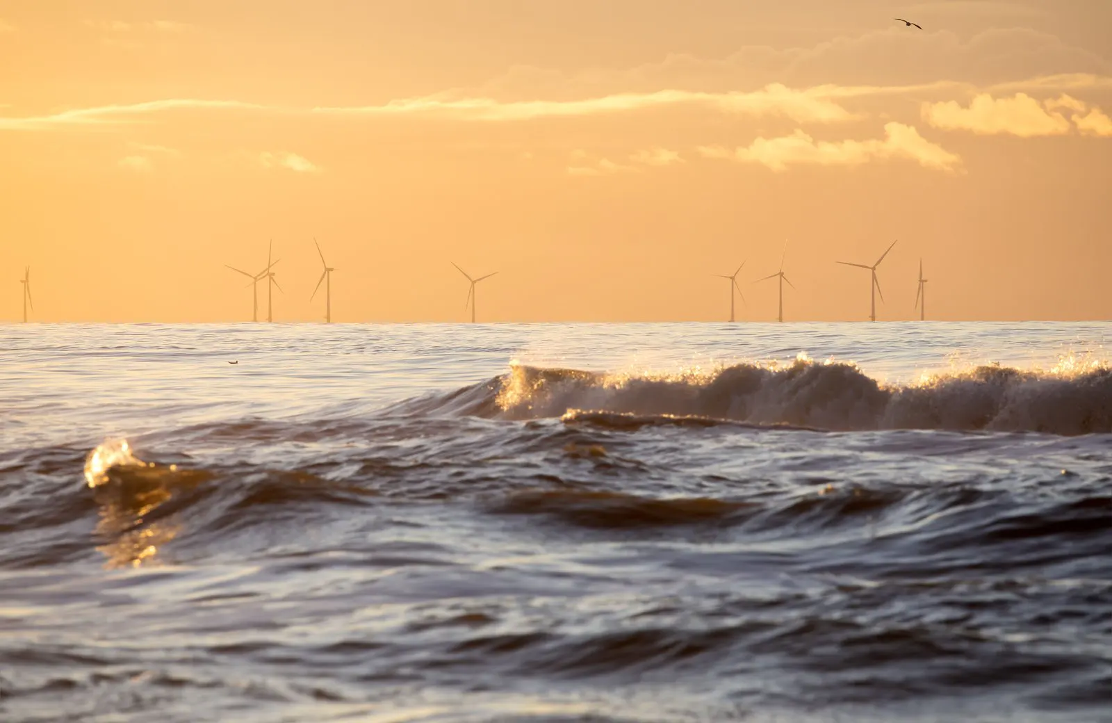 Offshore wind turbines on the horizon at sunrise