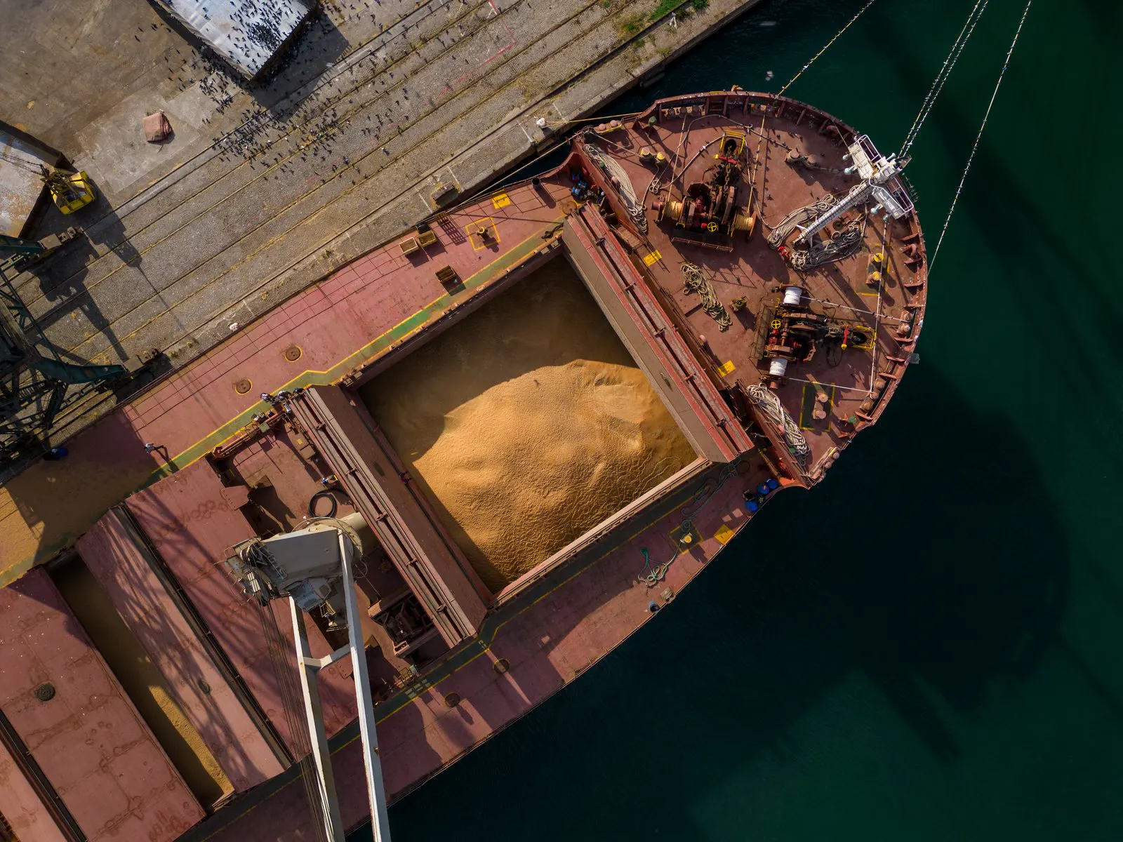 Aerial view of a bulk carrier loading grain