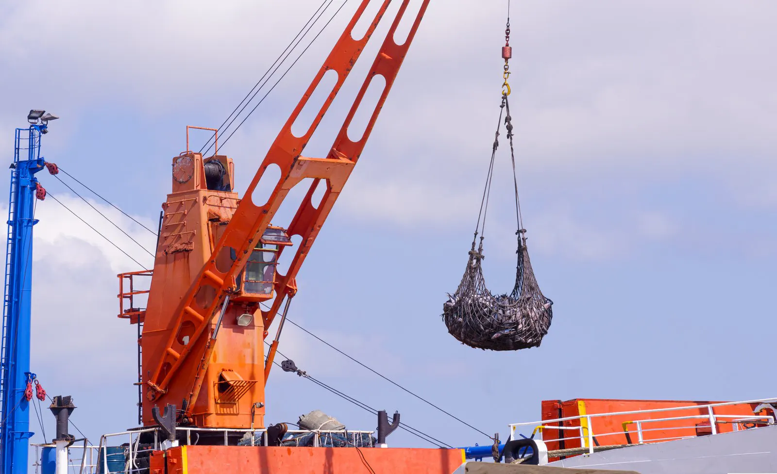 Deck crane lifting a catch aboard a large fishing vessel