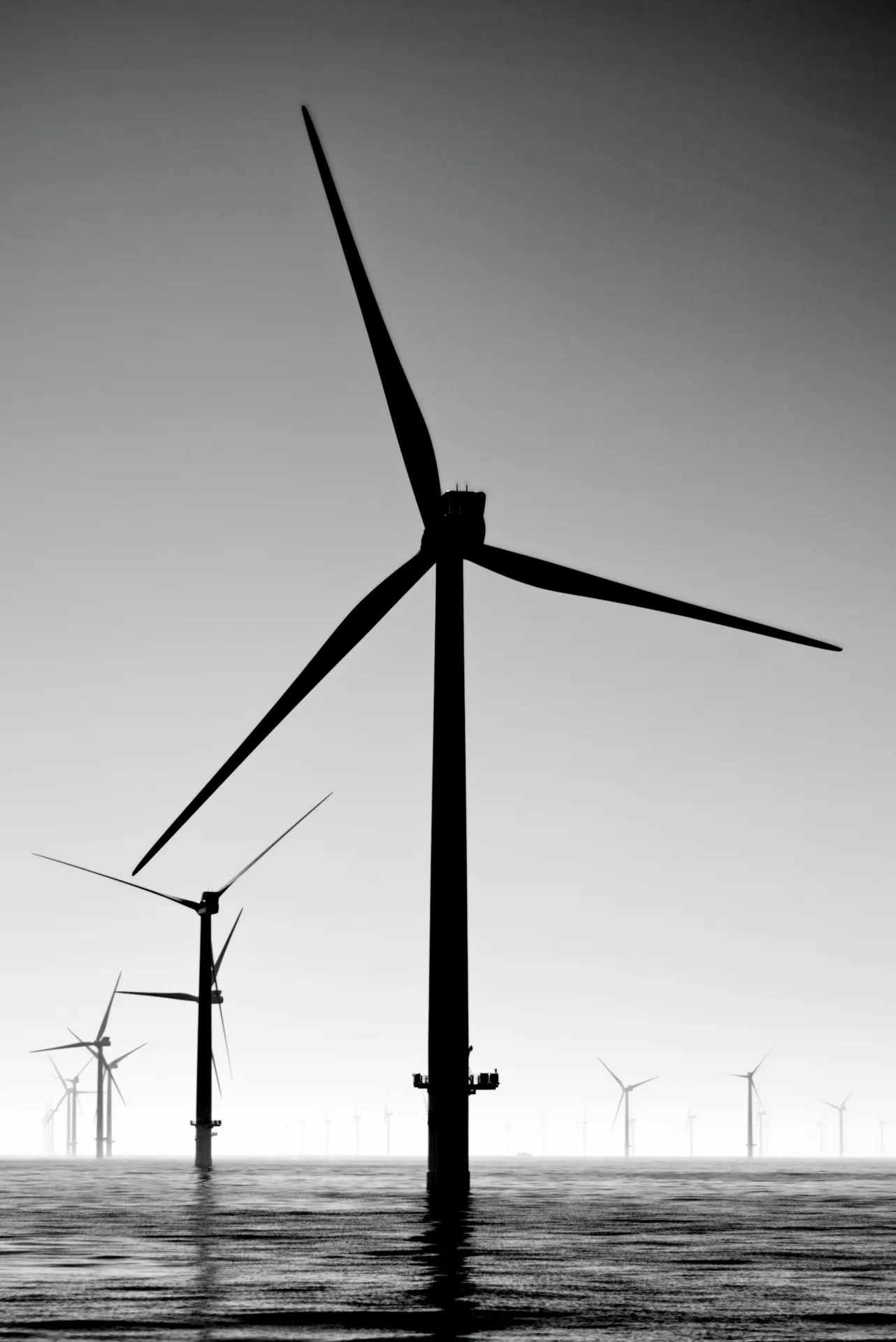 Offshore wind turbines under a grey sky