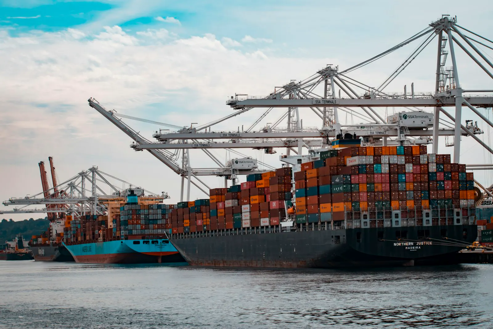 Port container terminal and cranes