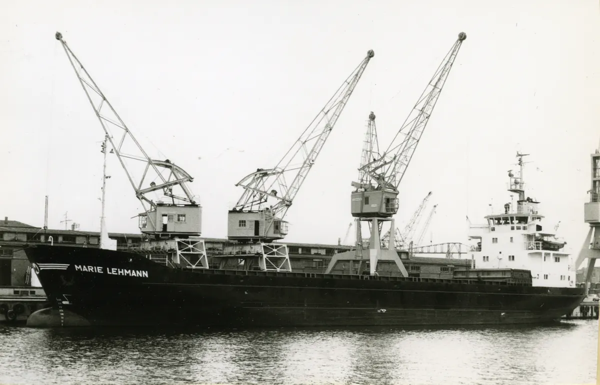 ALFA WATAN, general cargo (IMO 7510884)